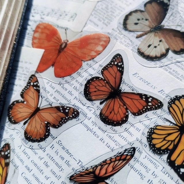 SET STICKERS BUTTERFLY